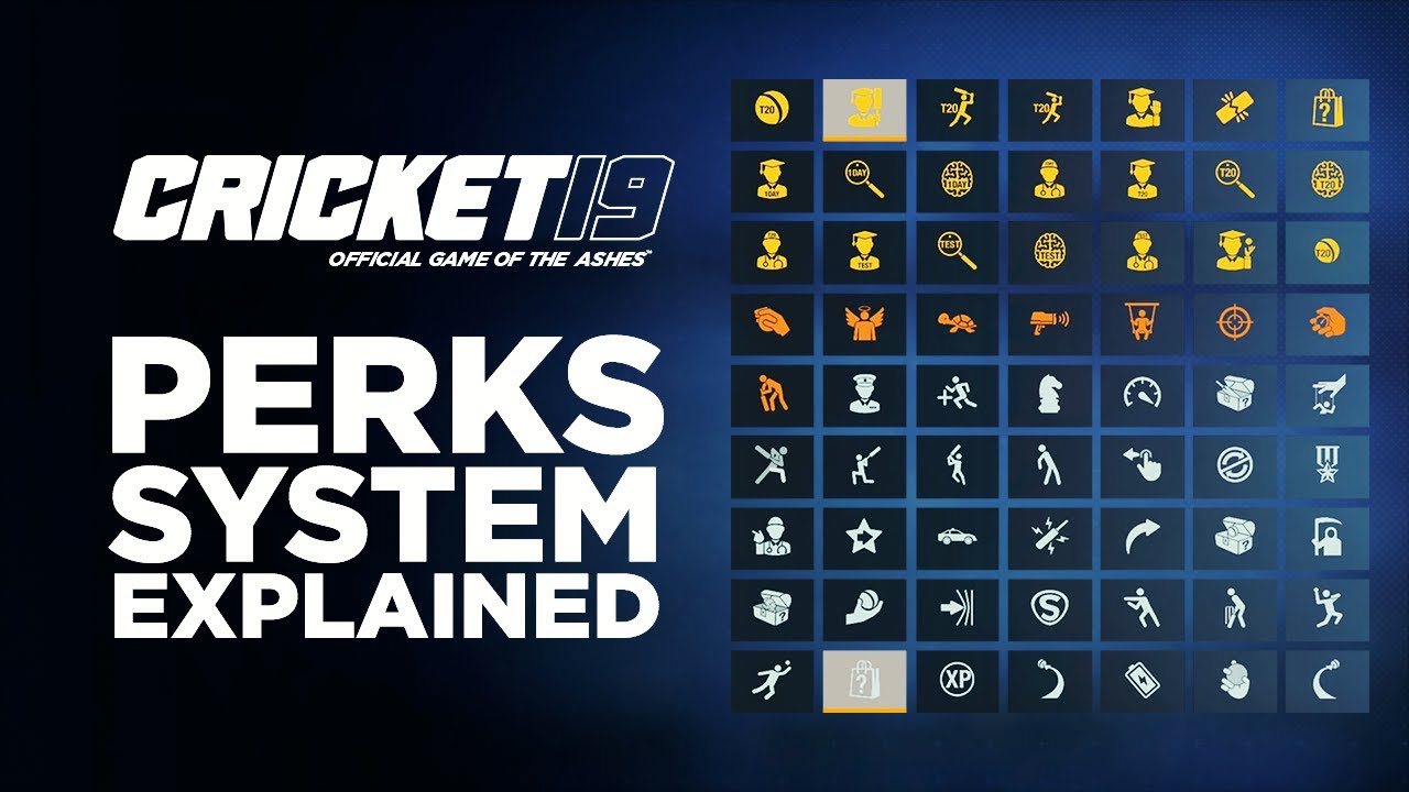 CRICKET 19 | NEW PERKS SYSTEM EXPLAINED!