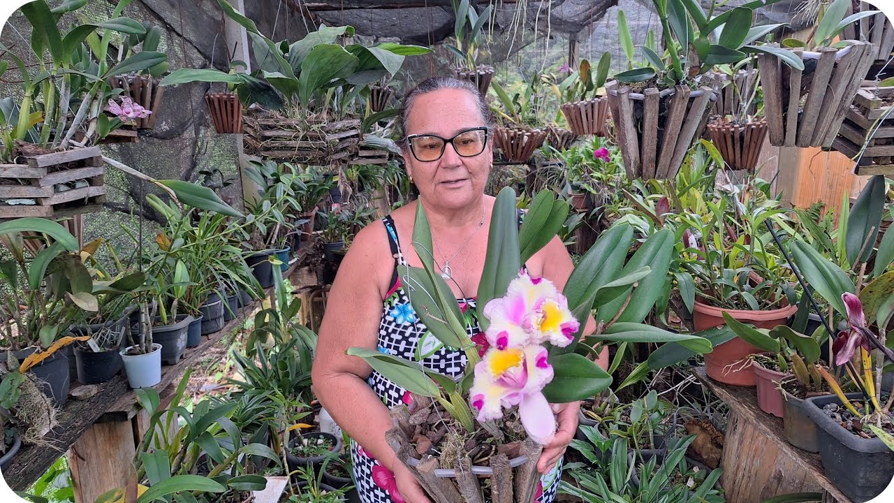 Uma paixão imensa pelas orquideas e pela natureza 