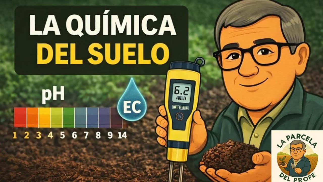 Propiedades Químicas del Suelo