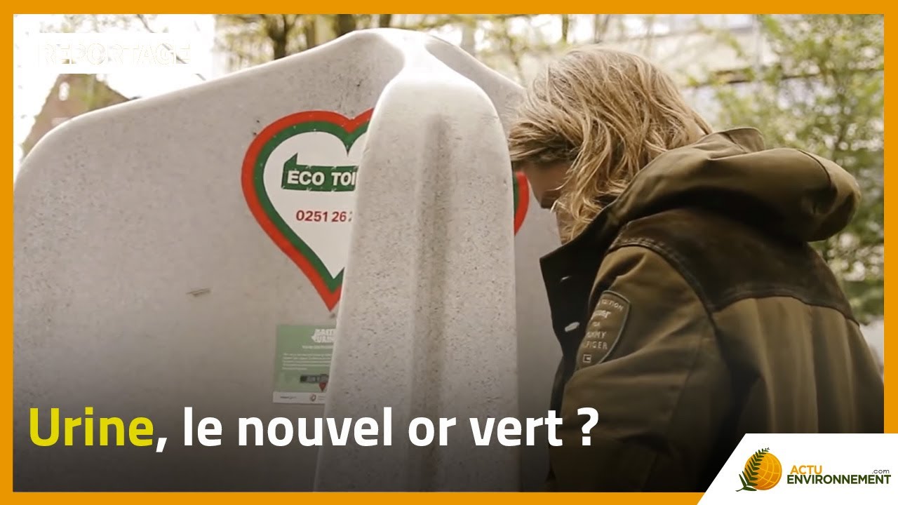Urine, le nouvel or vert ?