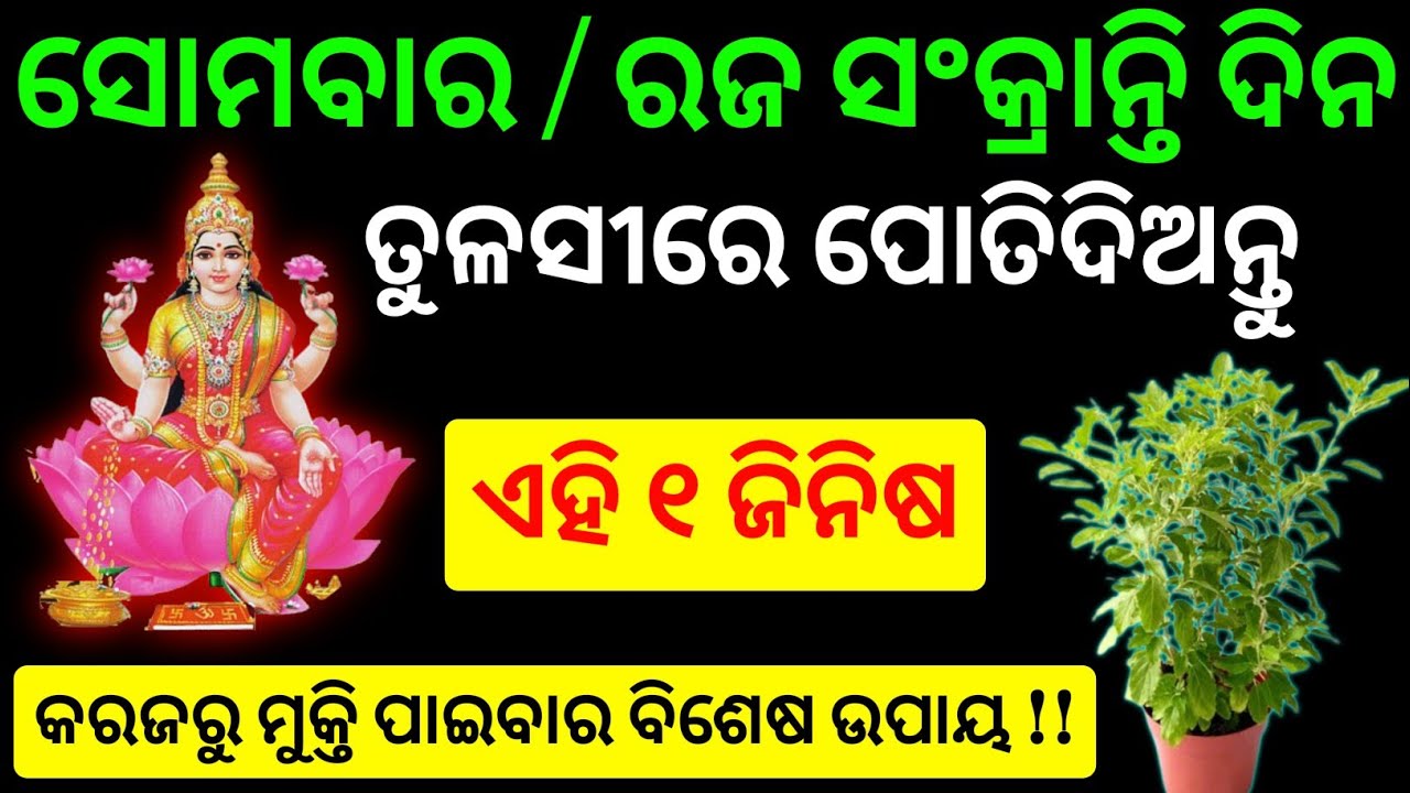ରଜ ସଂକ୍ରାନ୍ତି ଦିନ ସନ୍ଧ୍ୟା ସମୟରେ ତୁଳସୀରେ ପୋତିଦିଅନ୍ତୁ ଏହି ୧ ଜିନିଷ । raja sankranti 2026 | rashifala 