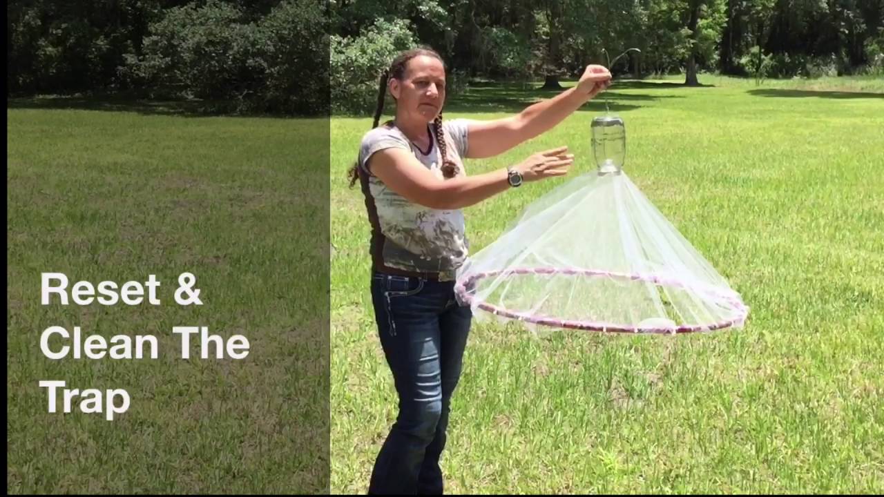 HorseFly Trap Build $15 ~ BirdDog1227