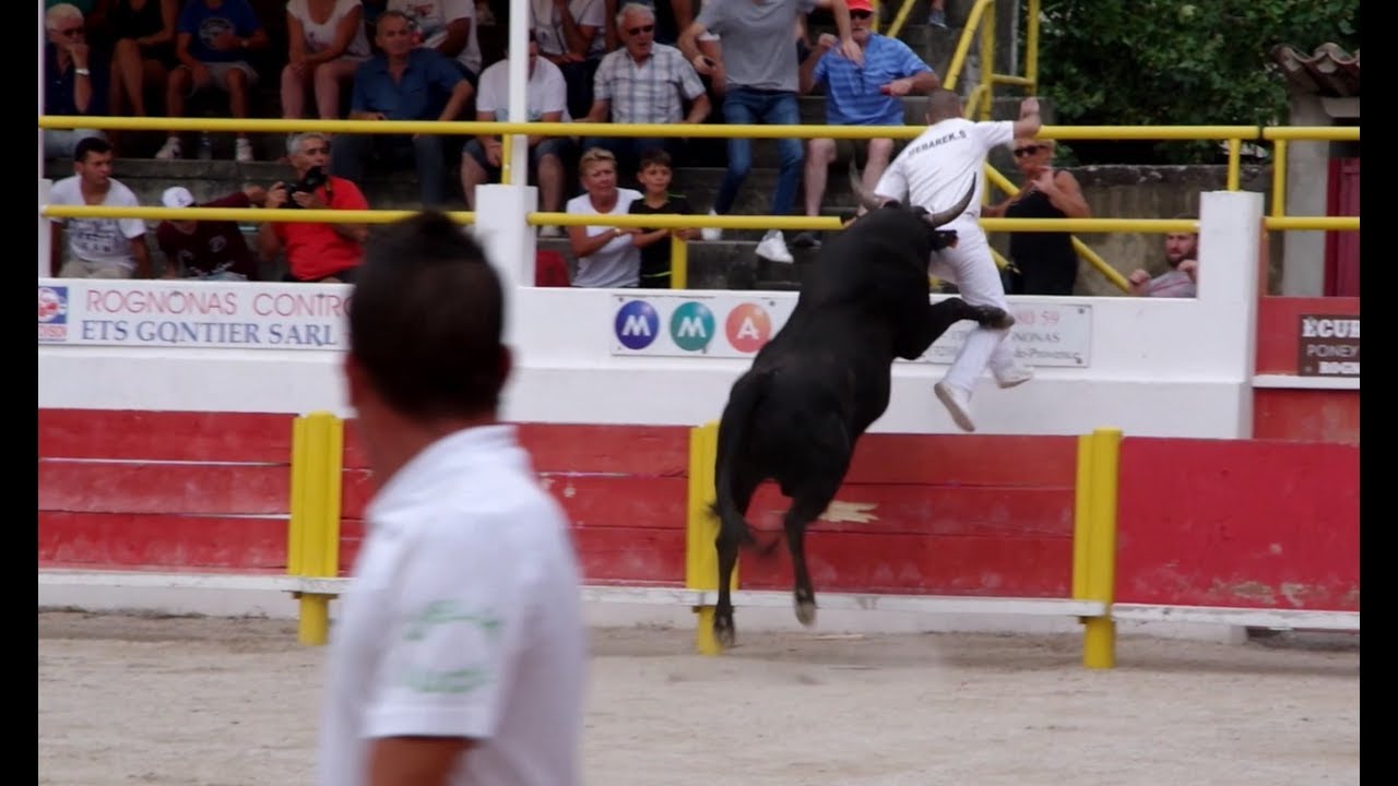 Course De Ta&ugrave; Rognonas 10/07/2017