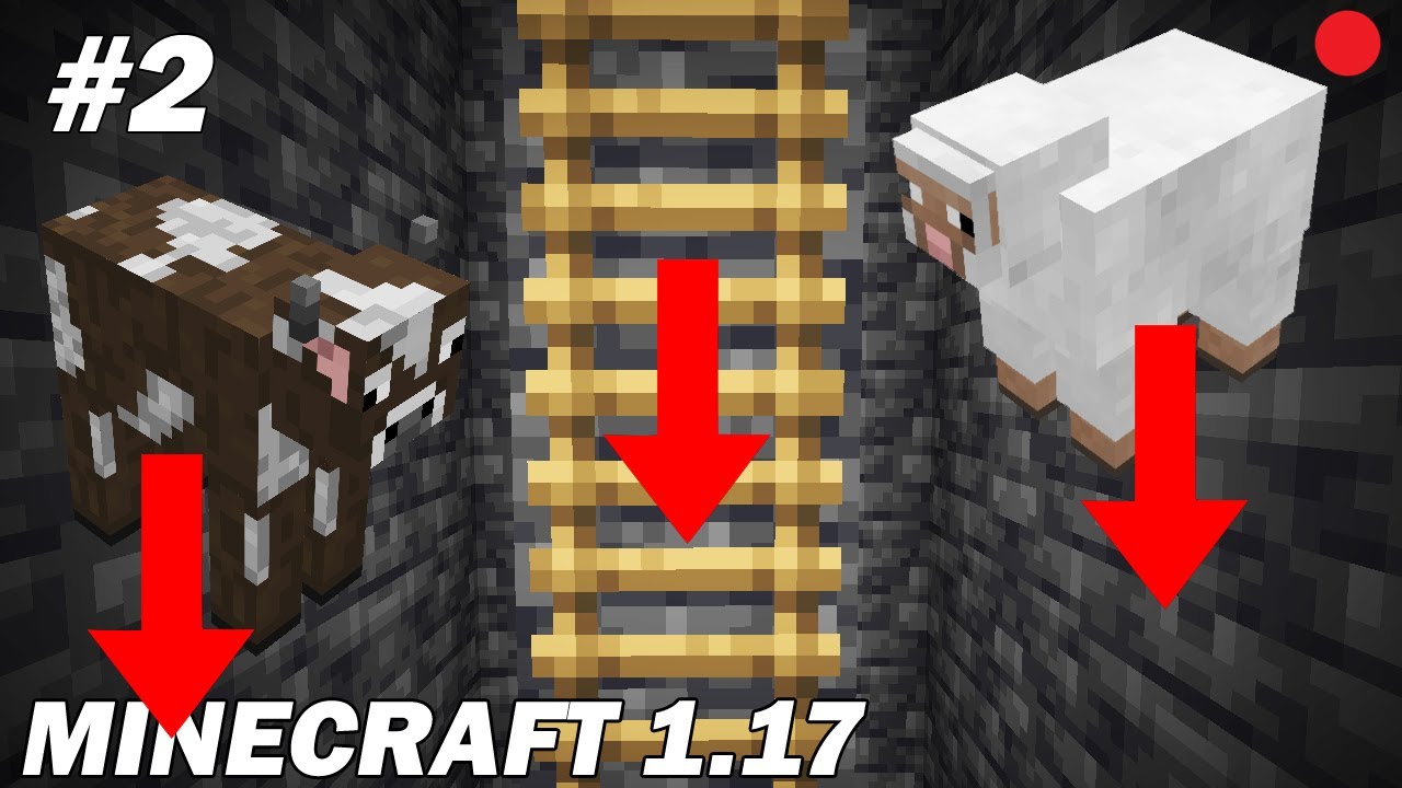 On fait descendre les animaux sous la terre! Minecraft Survie 1.17 EP2