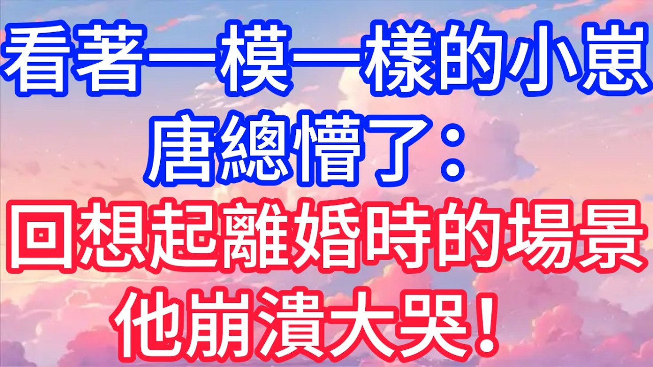看著一模一樣的小崽，唐總懵了：回想起離婚時的場景，他崩潰大哭！#聲聲故事