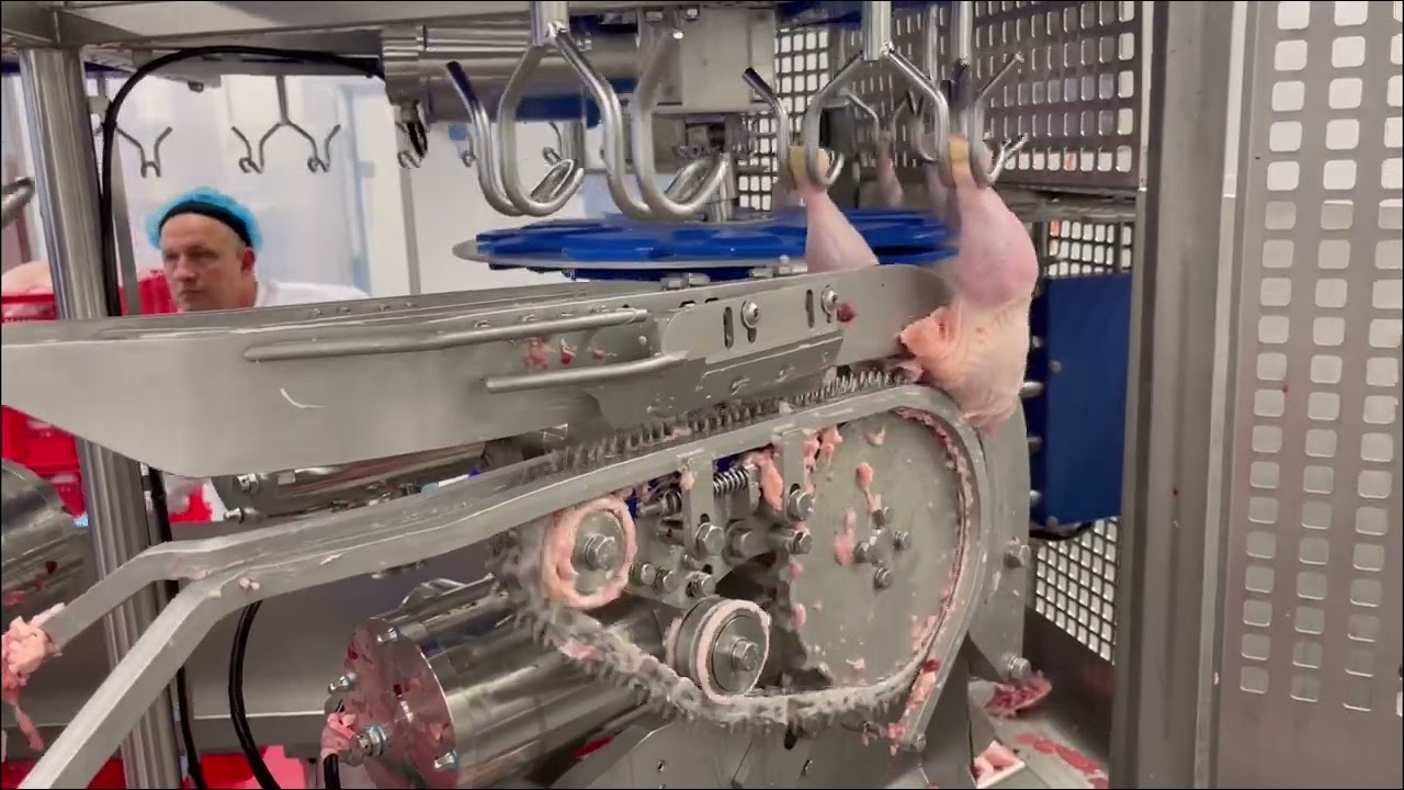 Circular Cut-Up Machine for Poultry Processing