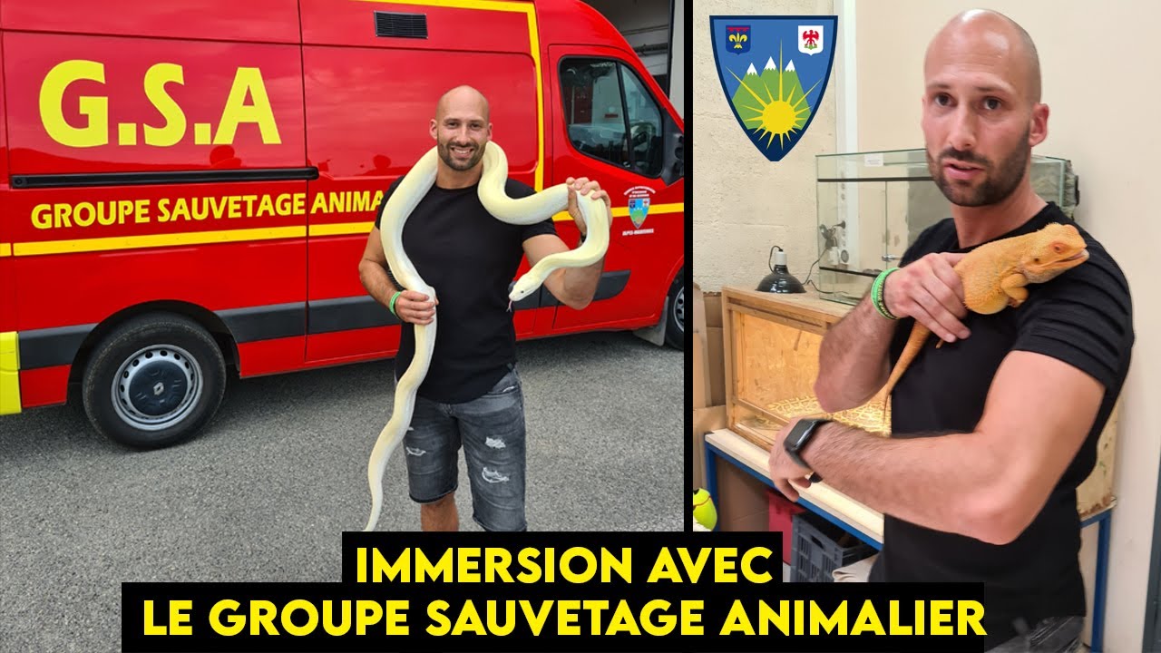 Immersion avec le Groupe Sauvetage Animalier 06 , je capture un Anaconda !!!!!!