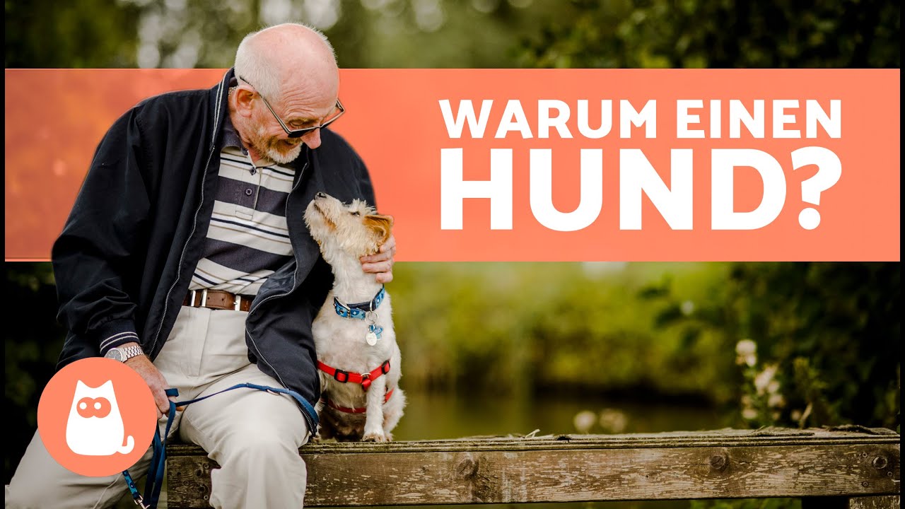 10 VORTEILE einen HUND ZU HABEN 🐶✅ | Warum einen Hund aufnehmen?