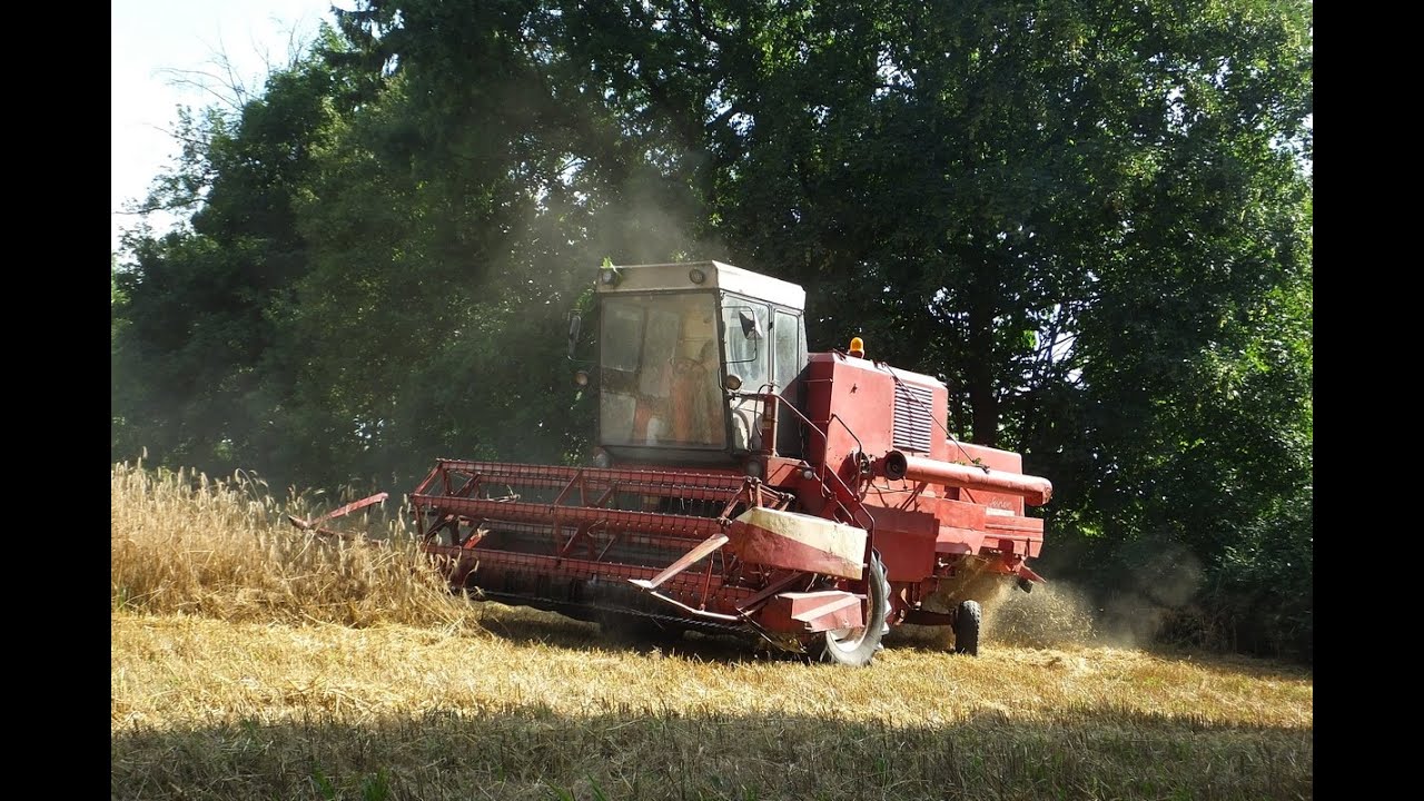 Żniwa 2021🔥 Bizon w Akcji 🔥Dźwięk Silnika🔥Bizon z050🔥