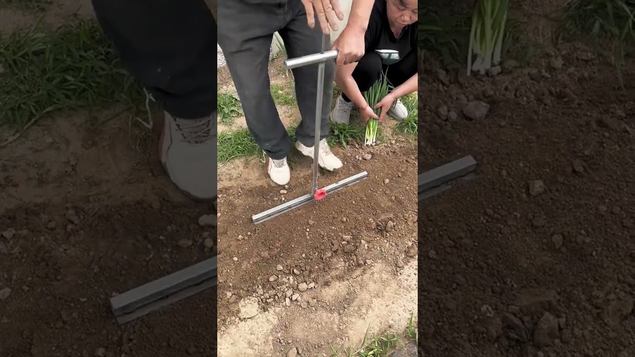 Green Onion Planter! 10x Efficiency Planting Tool