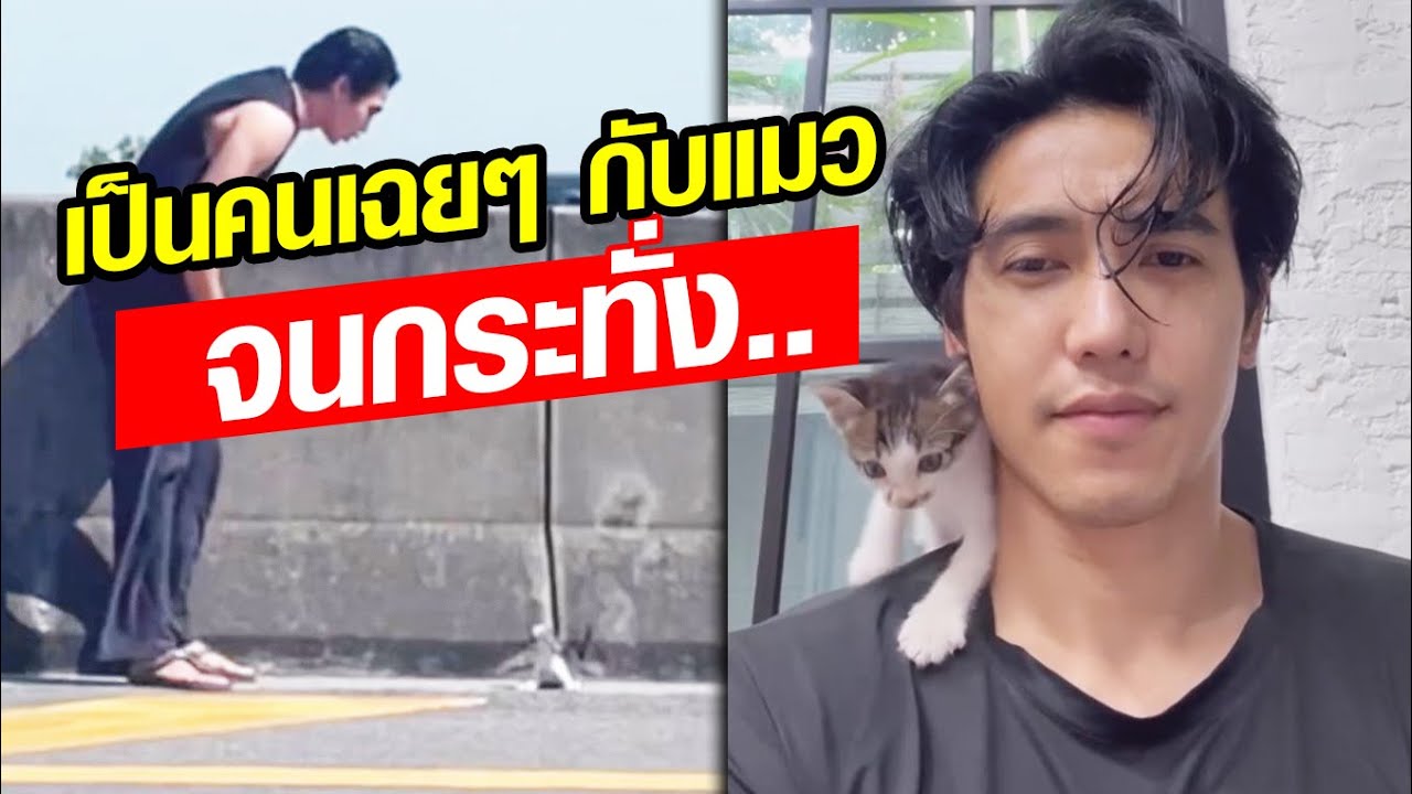 ก็อต จิรายุ ยอมรับ.. เป็นคนเฉยๆ กับแมว จนกระทั่ง..  ไปช่วยน้องบนทางด่วน อ้อนขนาดนี้ ใครจะทนไหว