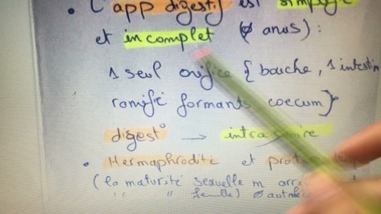 Zoologie L2 :  Vers 🐛 ( Plathelmenthes , Némathelmenthes , Annélides )