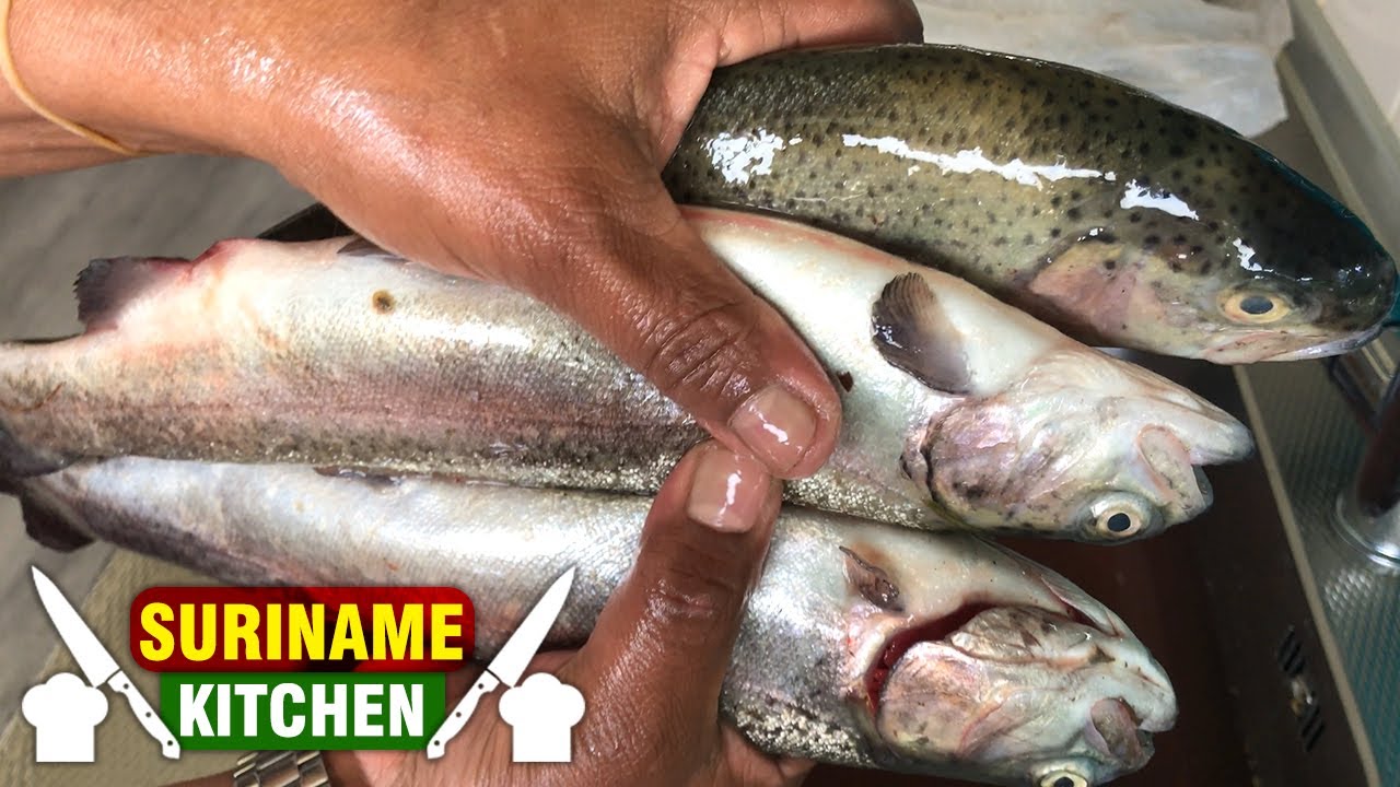 Grote Verse Forel Vis Schoonmaak Na Hengelen | Large Fresh Trout Fish Cleaning After Fishing