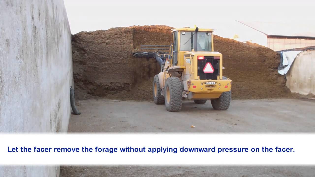 Forage Facing:  Simple Strategies for Quality Feeds