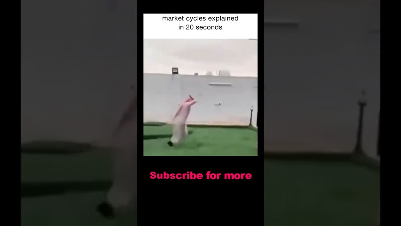 🌌Market Cycle Explained in 10 sec
