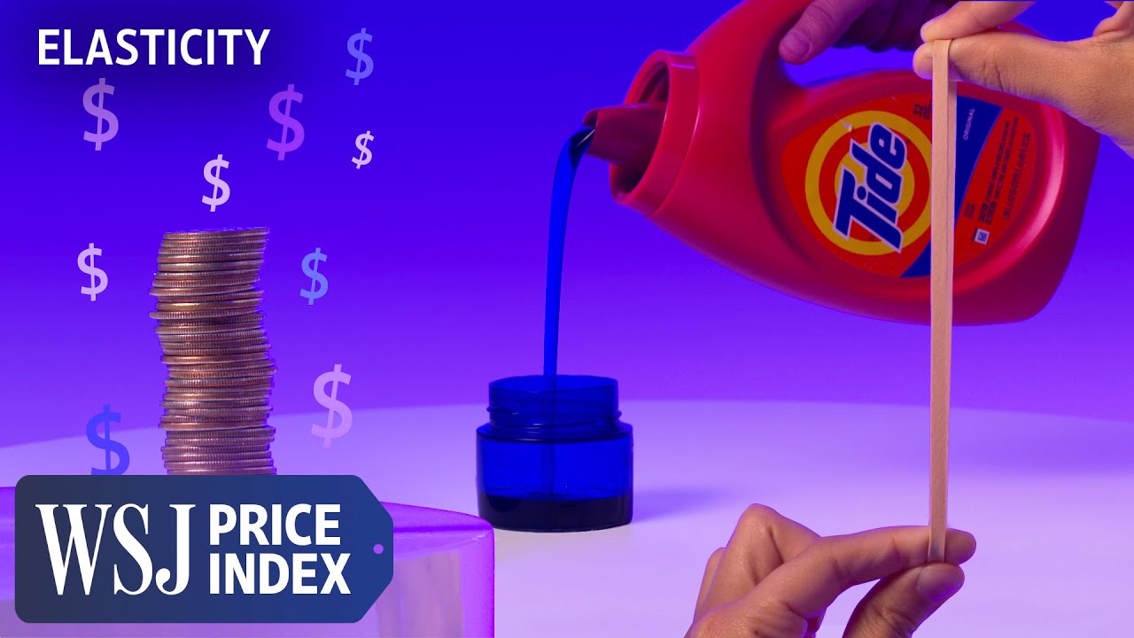 Elasticity: The Economic Concept Behind How Companies Price Products | WSJ Price Index