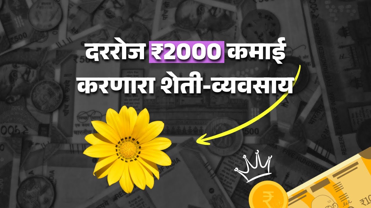 गलांडा, बिजली & गुलाब शेती - लागवड ते विक्री | संपूर्ण माहिती