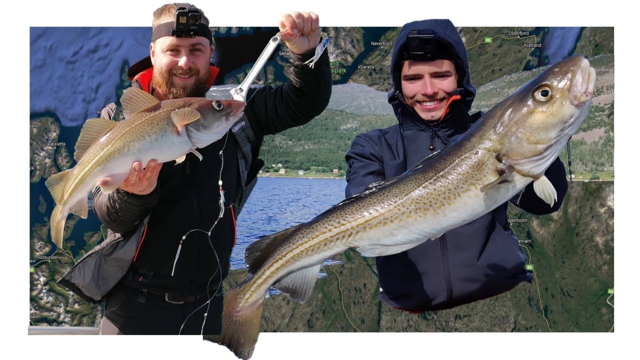 MIHKLI JA HEIKI SEIKLUSED NORRAS 2