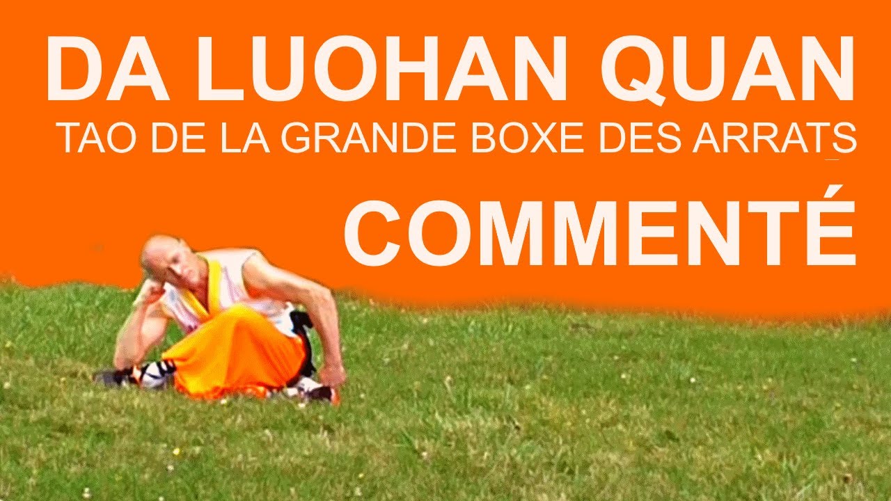 (Tao commenté) DA LUOHAN QUAN 大罗汉拳 - Kung-Fu Shaolin Reims