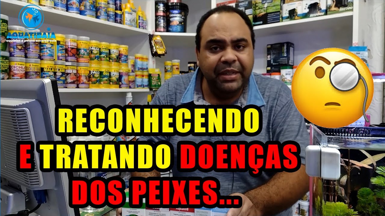 Principais doenças dos peixes ornamentais e seus medicamentos