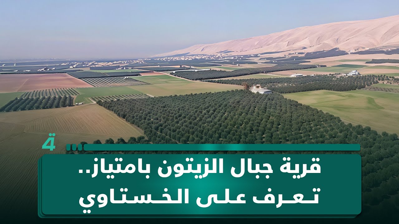 الفاضلية… قرية جبال الزيتون بامتياز.. تعرف على الخستاوي