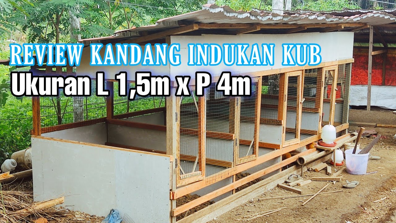 Review Proses Pembuatan Kandang Indukan KUB