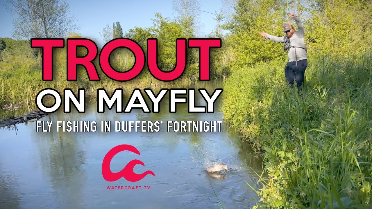 Mayfly Magic: Chalkstream Fly Fishing for Trout During Duffers' Fortnight