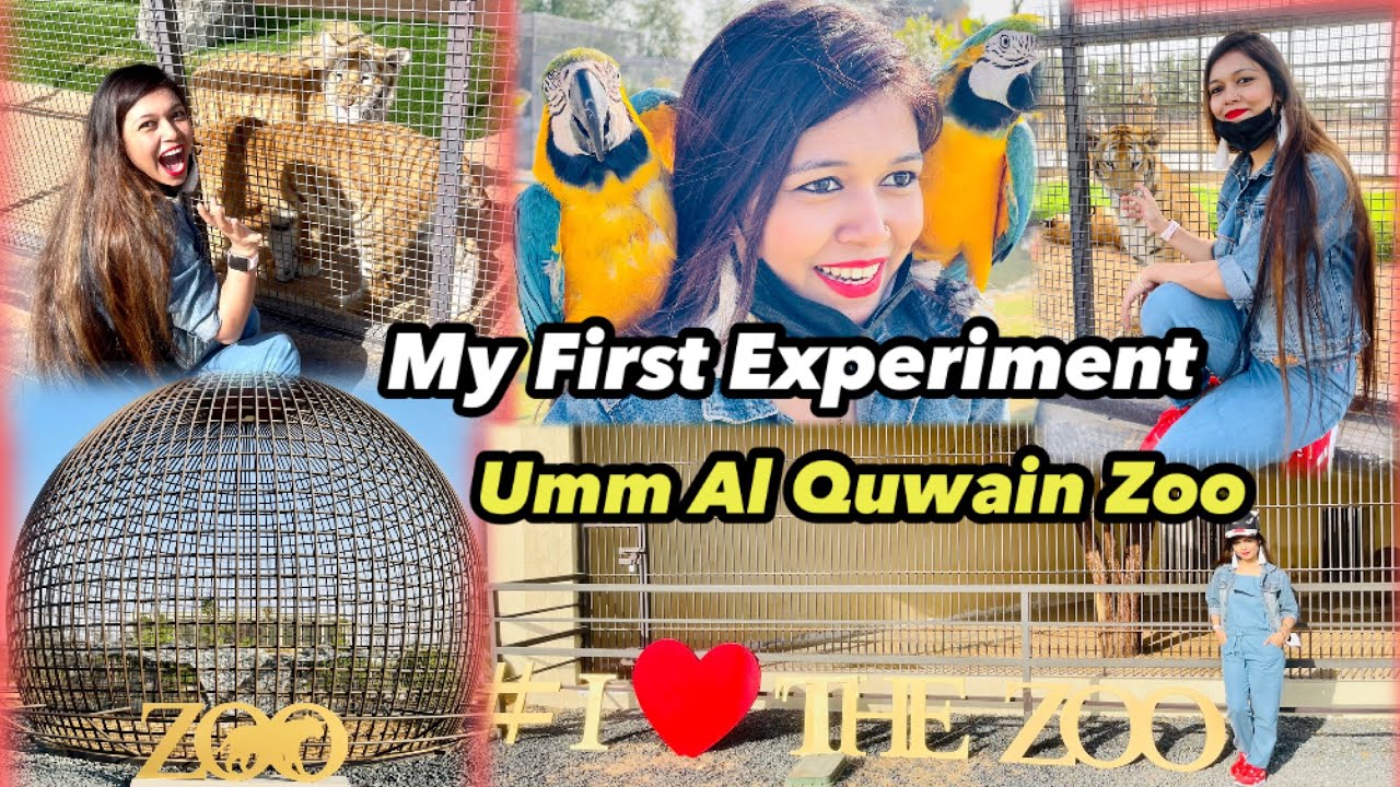 UMM AL QUWAIN ZOO | WILDLIFE PARK | MOST VISIT PLACE IN UAE 🇦🇪 | My First Experiment
