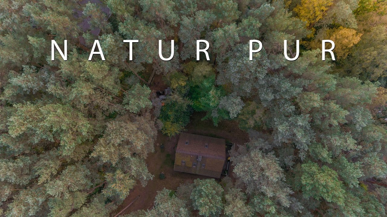Natur Pur: Bardowick bei L&uuml;neburg 4K