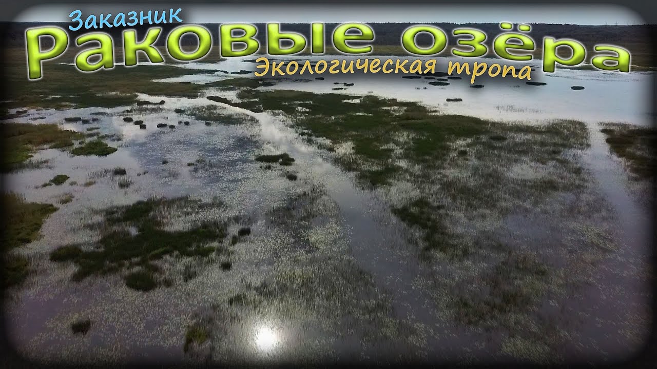 Заказник «Раковые озёра». Экологическая тропа.