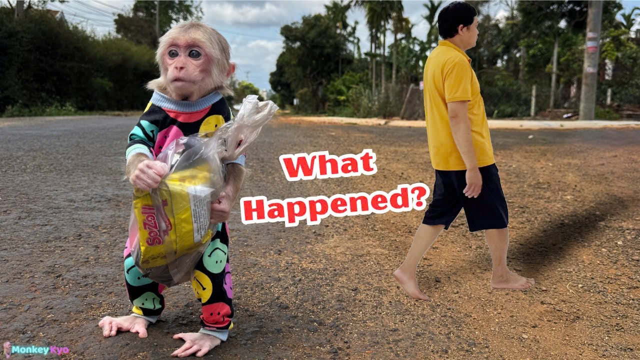 So smart! Monkey Kyo quietly ran to buy coffee to 'compensate' her Dad!