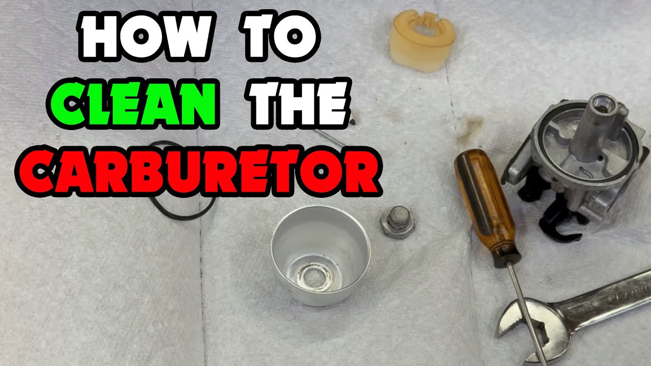 Cleaning Carburetor on Snapper Push Mower EZ Speed