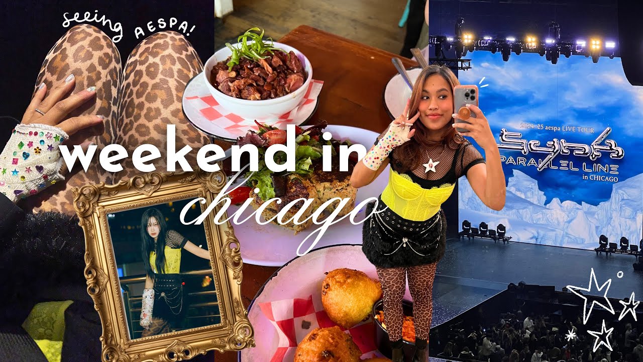 life in chicago in my 30s ₊✩‧₊ aespa concert, dvd haul, playing hades, vday dinner