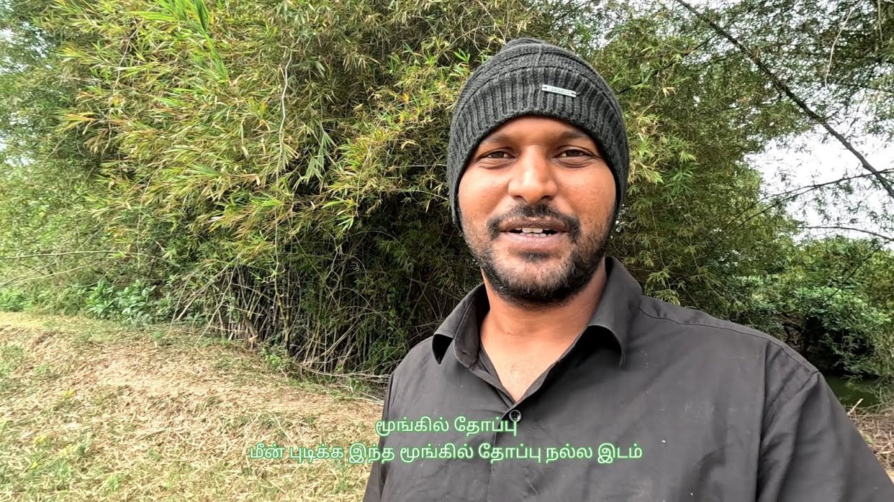மூங்கில் தோப்புல மீன் புடிக்கலாம் 🦈🌊