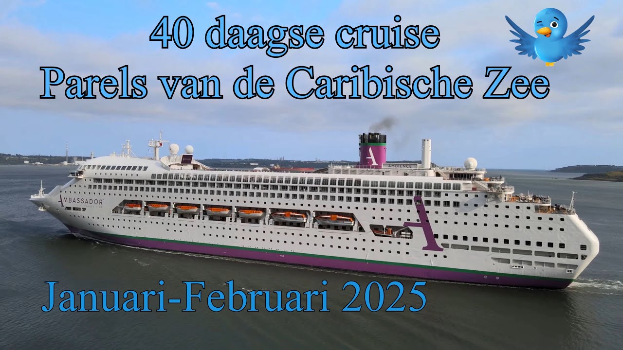Cruise Ambience Deel 1