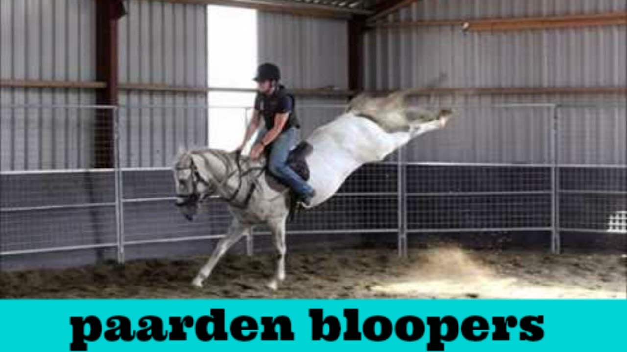 paarden bloopers!