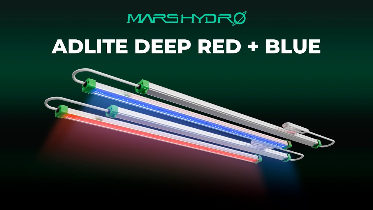 Unleash Maximum Plant Growth with ADlite Deep Red + Blue Spectrum