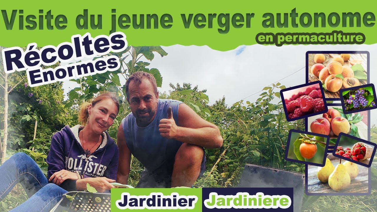 Visite de notre jeune Verger en Permaculture 🌿 | Des Fruitiers Pleins de Surprises ! sur 1000m2