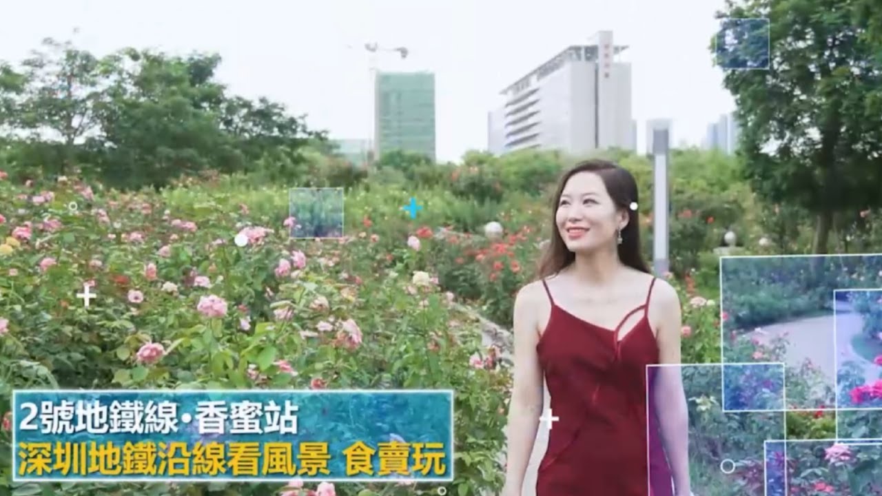 假日閒逛香蜜公園 鬧市綠洲休閒空間 文化創意體驗 │ 香蜜公園 1979文化創意園  │深圳地鐵2號線 香蜜站 │ 《遊走大灣區》