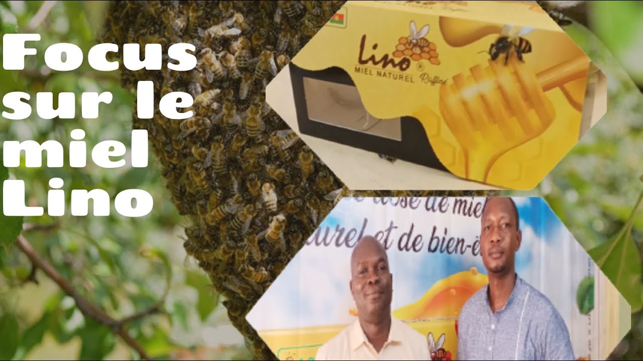 Focus sur le miel Lino produit au Burkina Faso