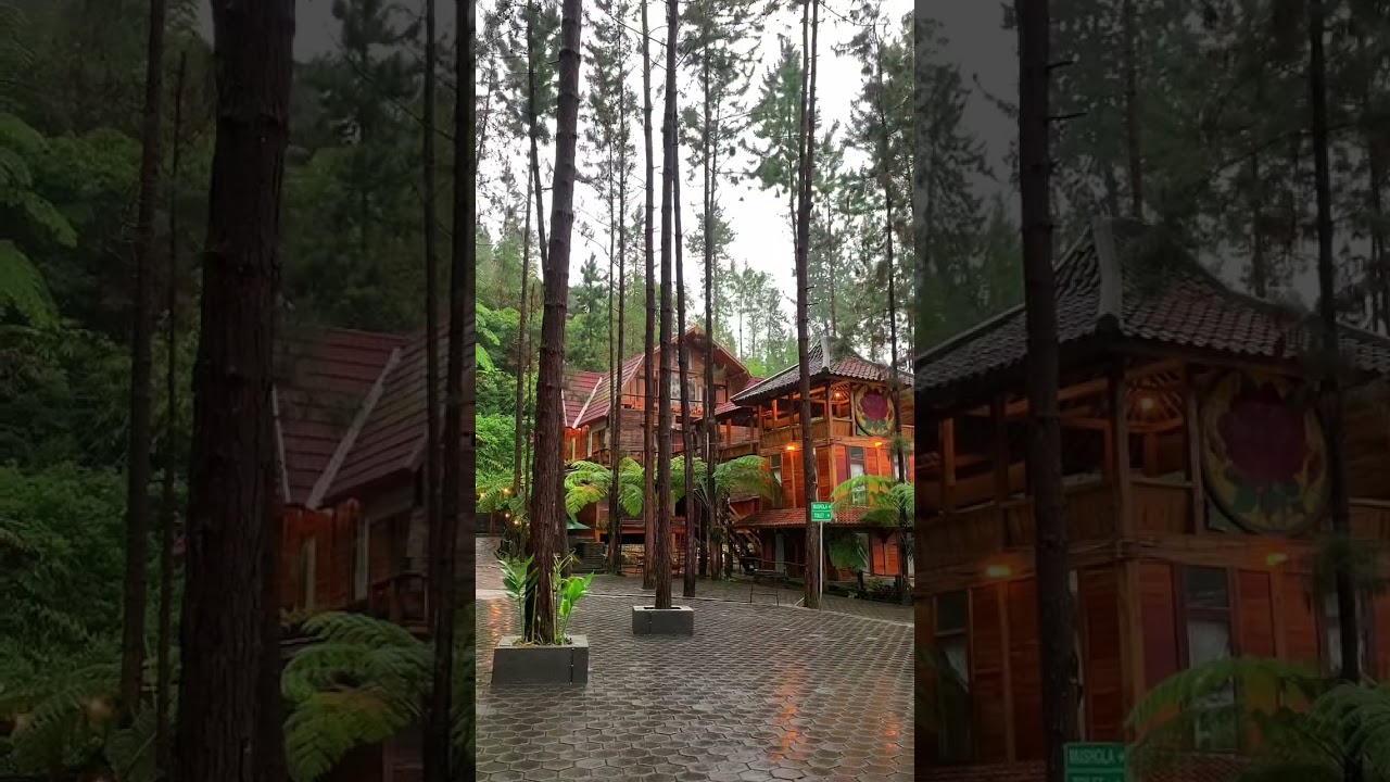 Pemandian air panas | Guci Forest Tegal 
