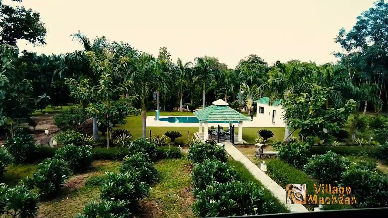 Village Machaan - The Best Resort at Pench | Pench Jungle Safari | Village Machaan Resort