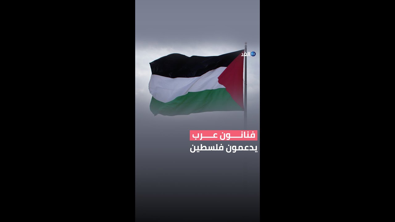فنانون يدعمون فلسطين بكلمات مؤثرة : اليكم ما قالته نانسي عجرم !