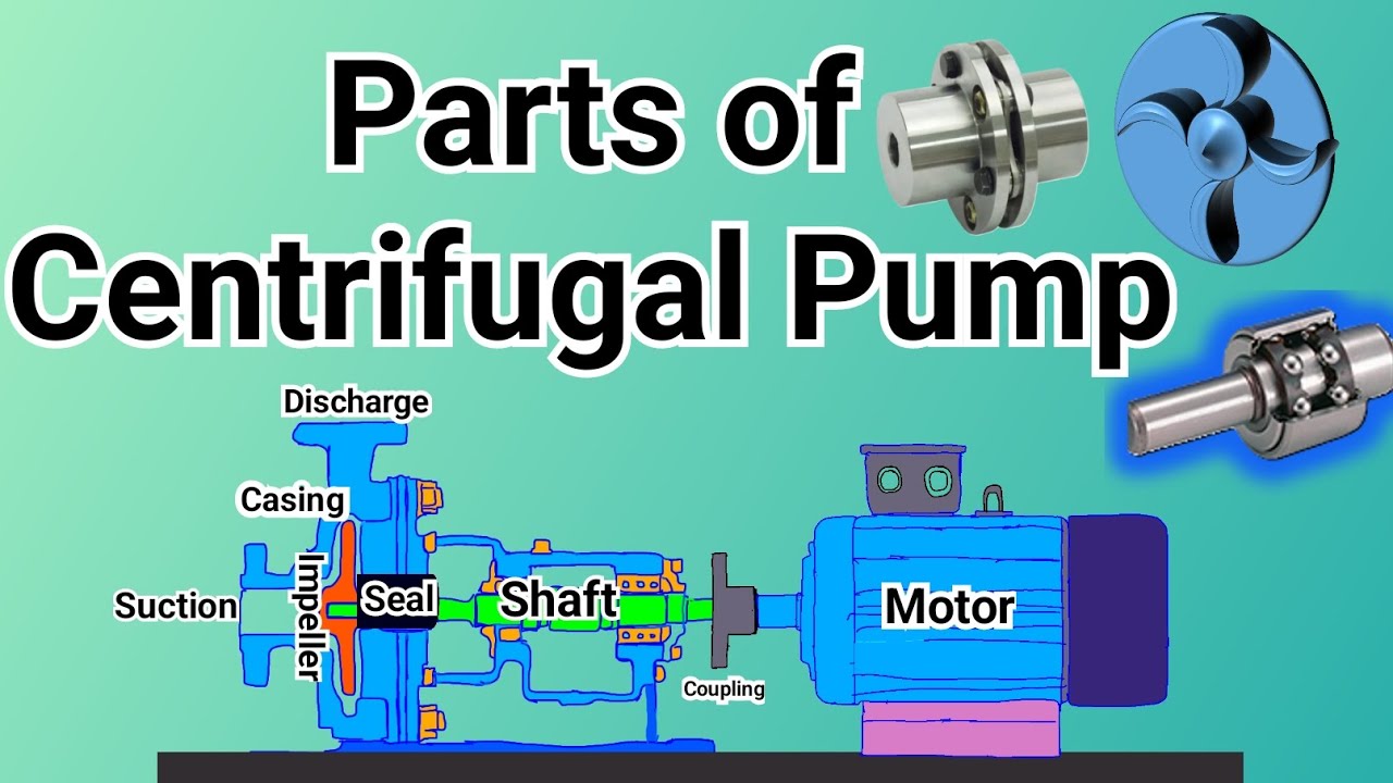 Centrifugal Pump Parts हिंदी में | Centrifugal Pump Parts Explained  #hardhatengineer #pump