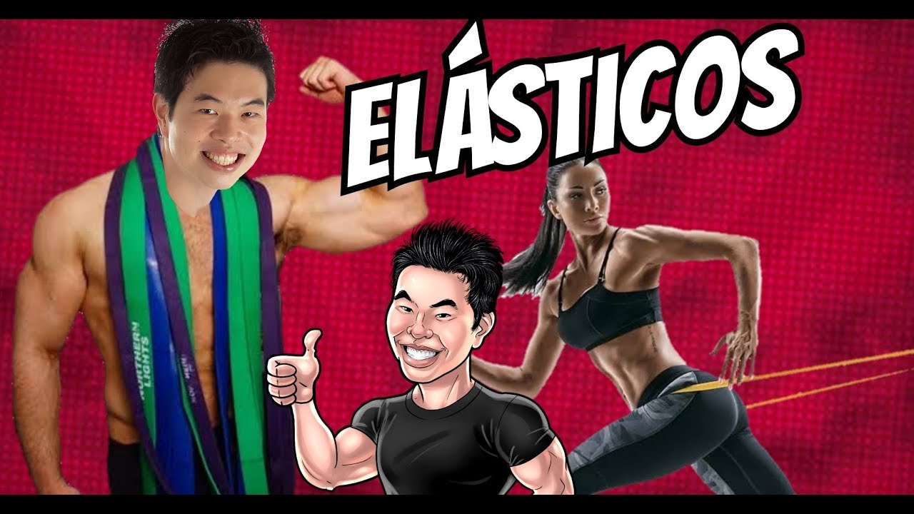 TREINO DE MUSCULAÇÃO COM ELÁSTICOS FUNCIONA?