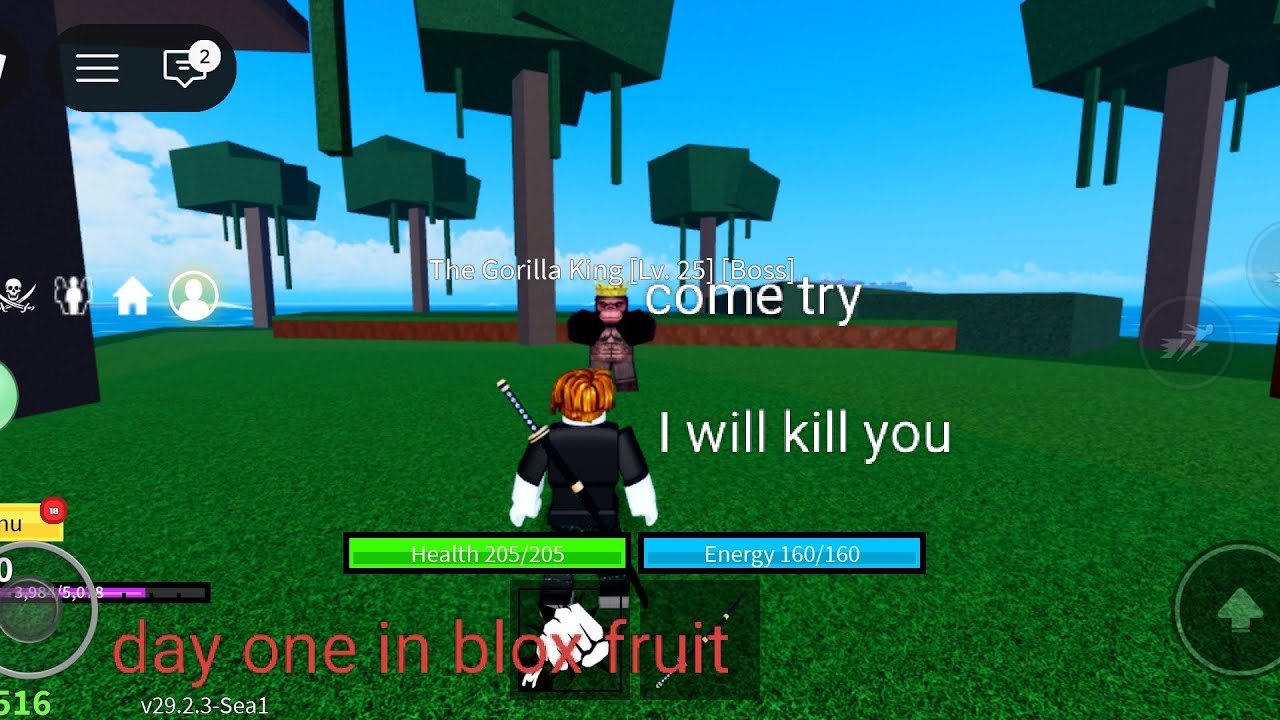 1 day in blox fruit as a pirat