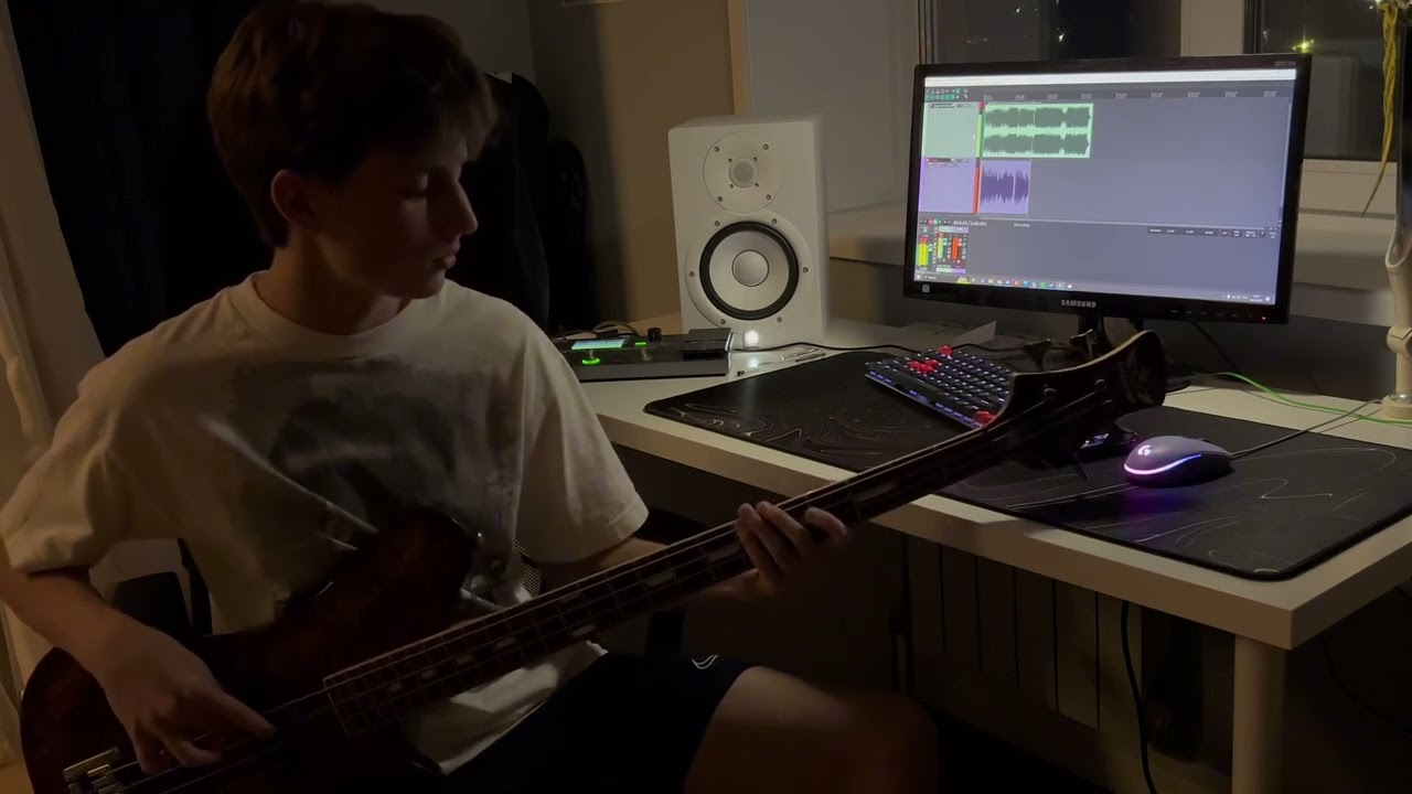 Anberlin - Enjoy The Silence (Bass Cover)