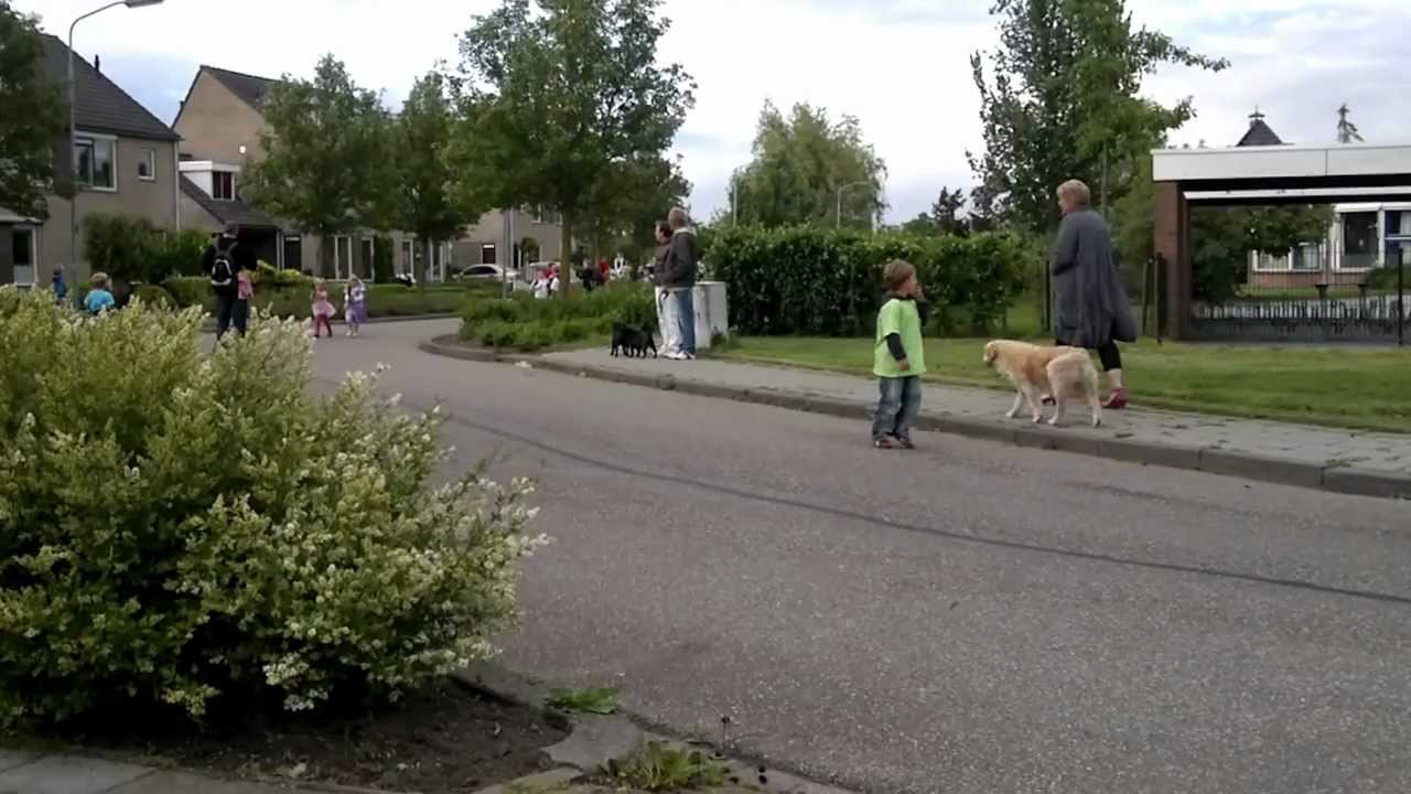Indruk Vierdaagse Ten Boer 2011