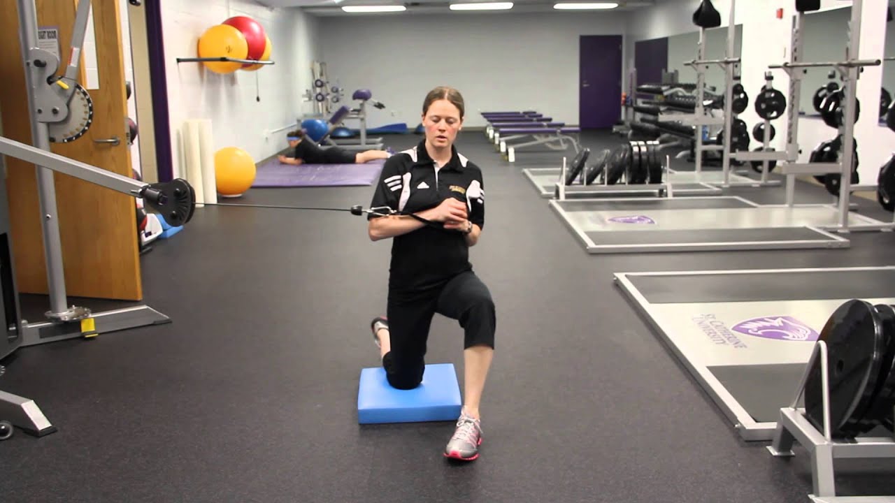 Half Kneeling Pallof Press