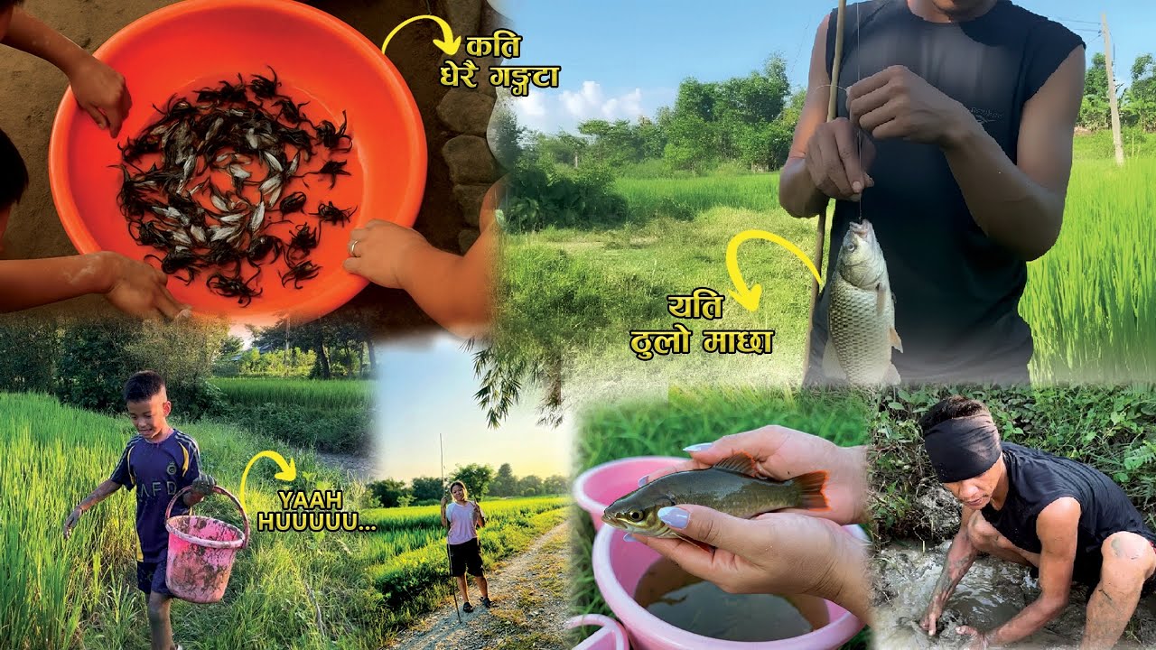 Catching fish in the river || Morang  || village life || 